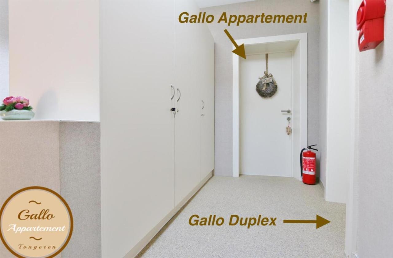 Gallo Appartement & Duplex Tongeren Centrum Exterior photo